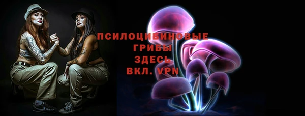 таблы Белокуриха