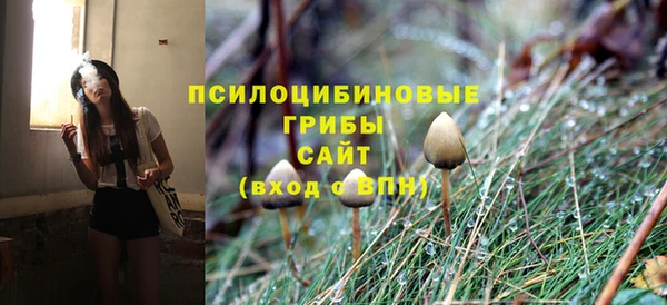 таблы Белокуриха