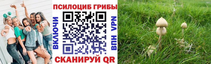 наркошоп Саяногорск кракен как зайти Псилоцибиновые грибы мухоморы