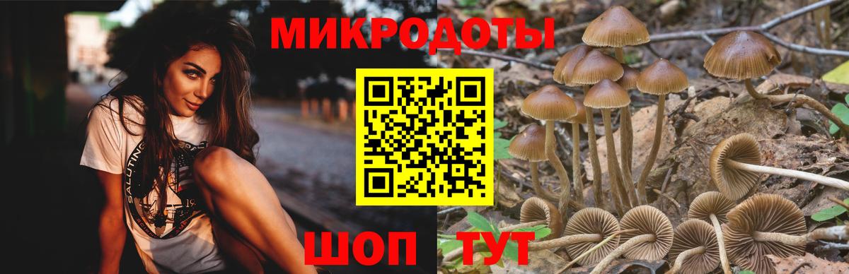 Галлюциногенные грибы мицелий  Вход с VPN  Саяногорск 